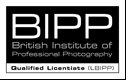 BIPP Logo